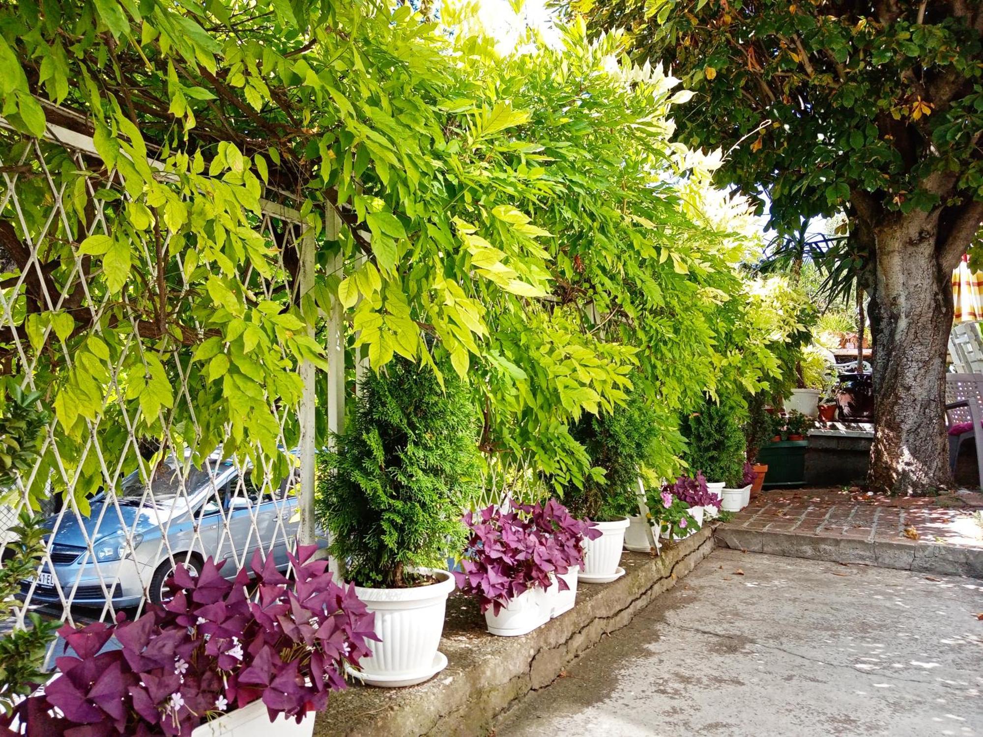 Belgrade Apartment Happy Garden Dış mekan fotoğraf