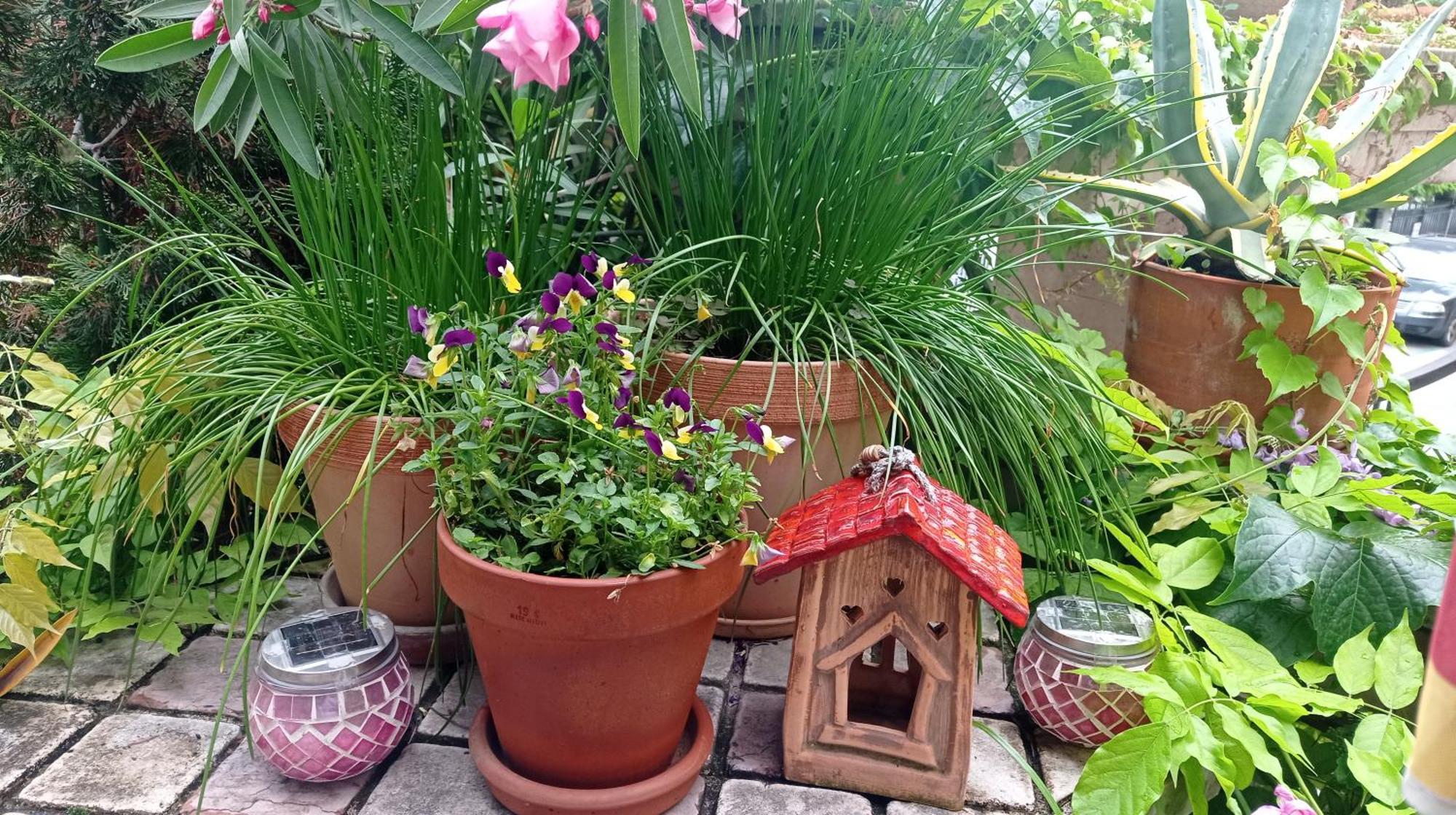 Belgrade Apartment Happy Garden Dış mekan fotoğraf