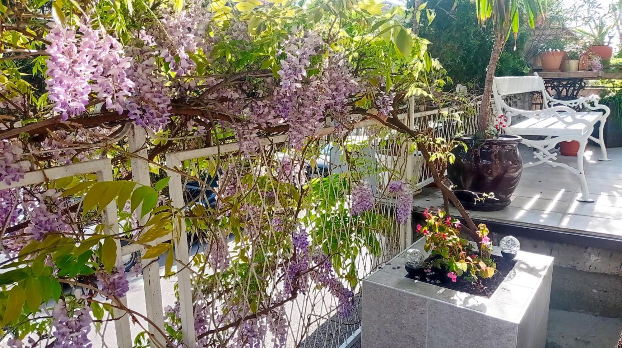Belgrade Apartment Happy Garden Dış mekan fotoğraf