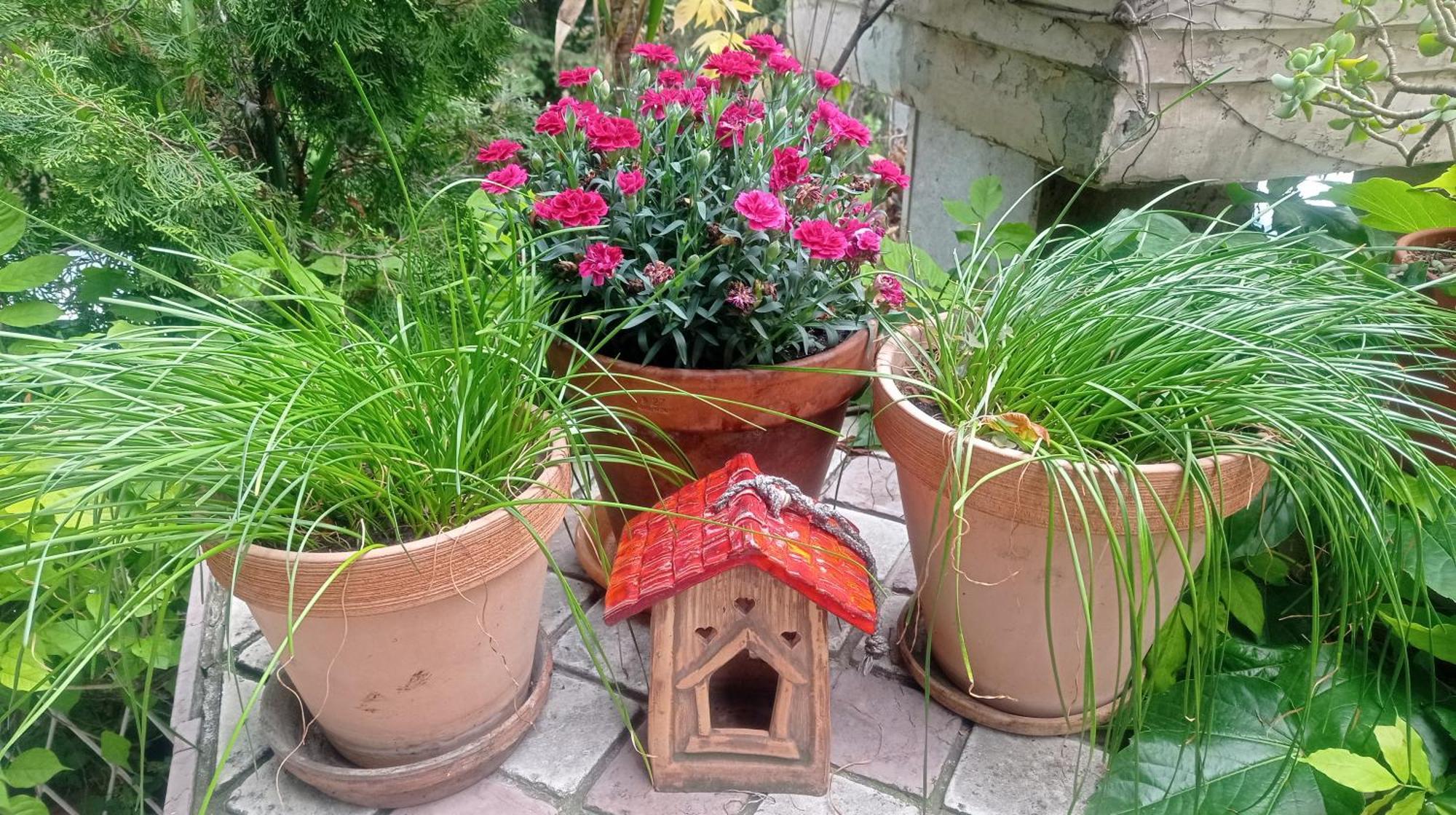 Belgrade Apartment Happy Garden Dış mekan fotoğraf